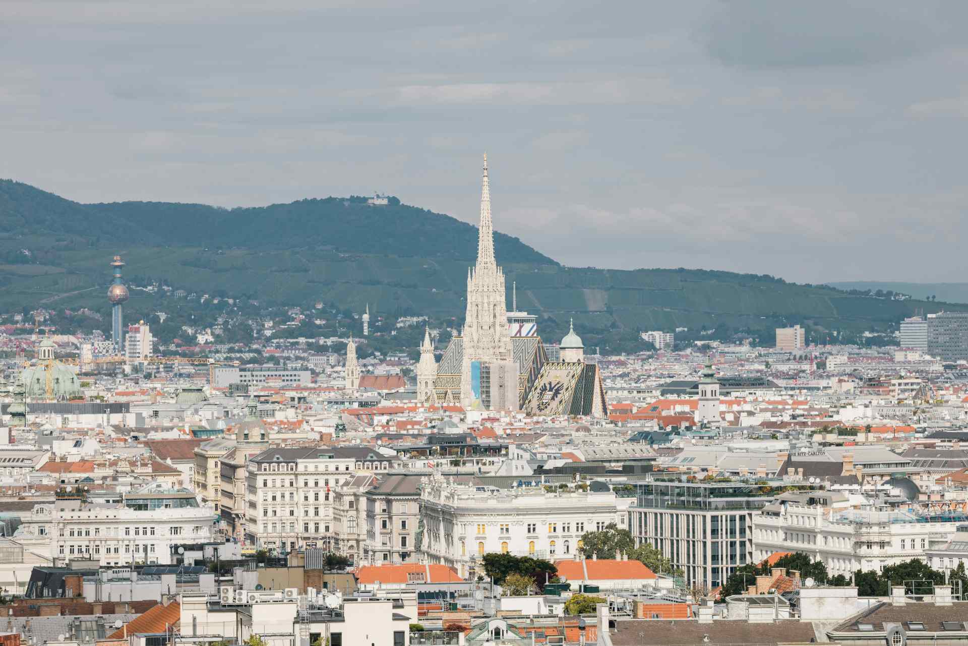 Blick über Wien, Weinberge im Hintergrund